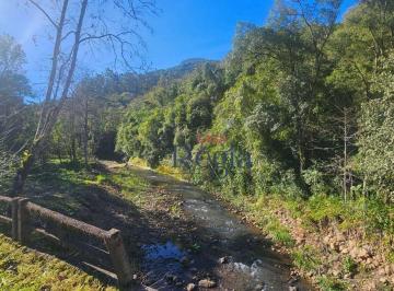 Imagem 1 · Sítio para venda em Moreira, Gramado