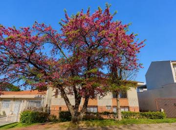 Apartamento · 145m² · 3 Quartos · Apartamento à venda - em Bacacheri