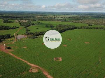 Rural , Porangatu · Fazenda a venda em Porangatu-GO - 479 Hectares - Plantando a área total