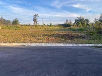 Terreno · Terreno de ESQUINA o Bairro Monte Pasqual em Farroupilha/RS