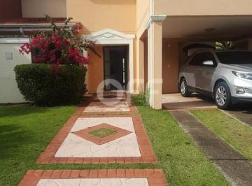 0 · casa para aluguel em Parque Alto Taquaral