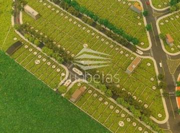 Terreno · LOTE A VENDA FLORESTA