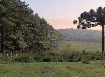 Área ideal para reflorestamento de grande porte (Eucalipto ou Pinus), aproveitando a aptidão florestal do centro-sul paranaense. · Fazenda 750 Alqueires à Venda em Pinhão/Prudentópolis PR
