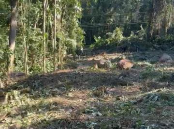 Imagem do Imóvel · TERRENO NA PRAIA DO FÉLIX, À 400 METROS DA PRAIA.