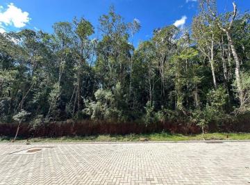 Terreno , Gramado · Oportunidade única no Vivendas do Arvoredo!