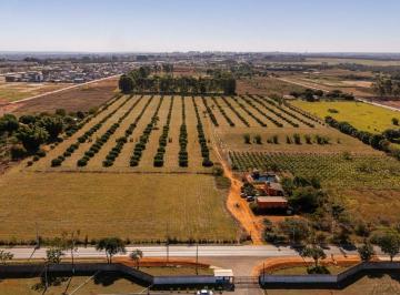 Rural · 60000m² · Área Estratégica no CAUB I | Ideal para Galpões, Indústrias e Logística