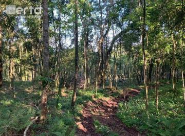 9130ca048292d86f3e14542676db9ae6355d2a6f · Área de Terra à Venda – 19 Hectares no Interior de Gramado/RS