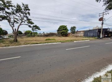 202605241115161552.jpg · Área para Venda em Aparecida de Goiânia, JARDIM NOVA ERA