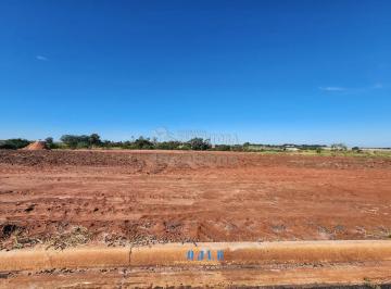 Terreno · 213m² · Terreno Padrão em Bady Bassitt
