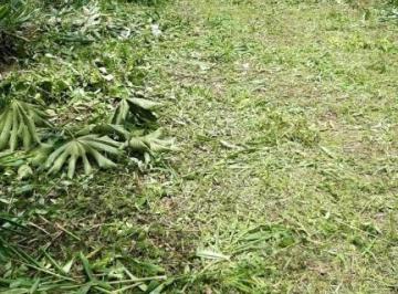e99c0c0a94b887bf8e0a28ececbf5fcb.JPEG · TERRENO