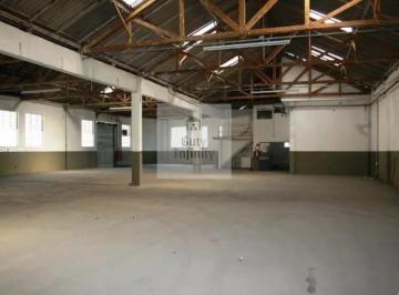 20260730113512623.jpg · GALPÃO ALUGA ZONA MISTA - 1.230M - PÉ DIREITO 5 METROS - ZONA MISTA