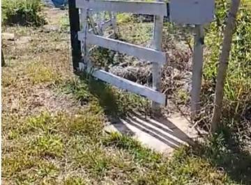 Rural · 50m² · Terreno com ribeirão nos fundos