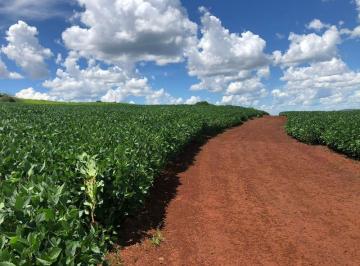 Imagem 1 · Fazenda para venda em Centro, Nova Ubiratã