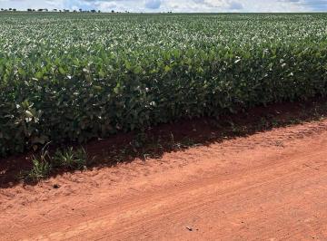 Imagem 1 · Terreno para venda em Centro, Ribas do Rio Pardo