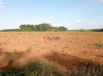 Imagem 1 · Sítio para venda em Martim Francisco, Mogi Mirim