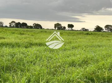 Imagem 1 · Fazenda para venda em Centro, Araguaçu