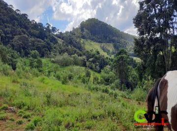 Imagem 1 · Sítio para venda em Vila Brasil de Nossa Senhora Aparecida,