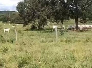 Imagem 1 · Terreno para venda em Centro, Figueirão