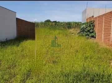 Terreno · 250m² · 🌿 Terreno Plano Pronto para Construir no Terras di Treviso — Exclusividade em...