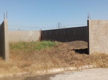 d3b116f9-f7c4-4393-b2d9-d2d65c249b1c.jpeg · Terreno em Piracicaba