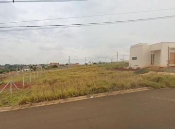 Imagem do WhatsApp de 2024-09-30 à(s) 18.43.42_316 · Terreno em Garças - Piracicaba