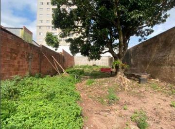IMG_9199.jpeg · Terreno em Paulicéia - Piracicaba