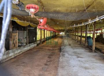 Rural · 250m² · Sítio em Área Rural de Itapetininga - Itapetininga