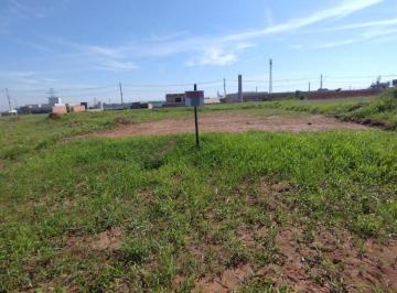 Imagem do WhatsApp de 2025-05-24 à(s) 19.07.14_a2d · Terreno à venda no Loteamento Conquista – 303,60m²