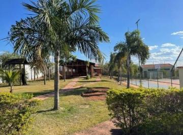WhatsApp Image 2025-02-17 at 11.27.19.jpeg · Terreno em Campestre - Piracicaba