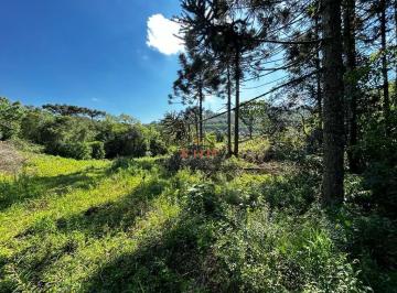 Rural · Chácara em Linha São Miguel em Farroupilha/RS