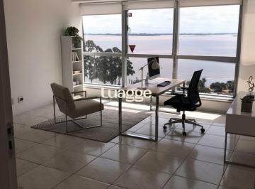 img313404325 · Conjunto/Sala para Locação/Aluguel - 40.65m², 0 dormitórios, Cristal
