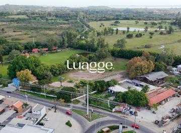 img193194411 · Terreno para alugar