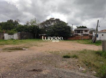 img84049619 · Terreno para Locação/Aluguel - 2264m², 0 dormitórios, Camaquã