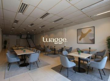 img331835305 · Loja comercial na Otto Niemeyer com 236m² para LOCAÇÃO