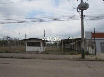 img83975293 · Terreno para Locação/Aluguel - 1700m², 0 dormitórios, Navegantes