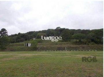 img82971881 · Terreno para vender ou alugar