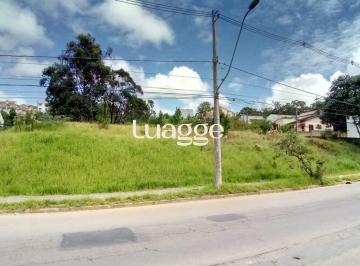 img84601134 · Terreno para Locação/Aluguel - 0m², 0 dormitórios, Aberta Dos Morros
