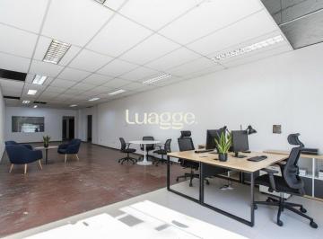 img314430143 · LOJA COMERCIAL PARA ALUGAR NO BAIRRO TRISTEZA