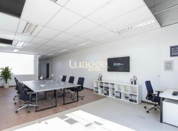 img314425206 · LOJA COMERCIAL PARA ALUGAR NO BAIRRO TRISTEZA