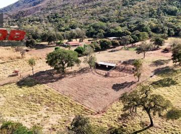 Foto 01 · Fazenda, Zona Rural, Formosa, GO