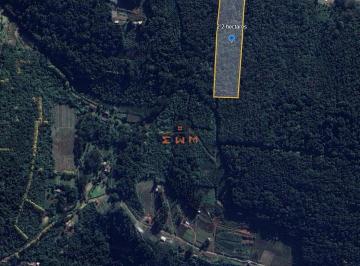 Rural · Chácara em Linha São Miguel em Farroupilha/RS