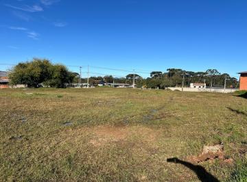 Comercial · 1600m² · Galpão / Depósito / Armazém para venda em Campo Largo Da Roseira de 1600.00m²