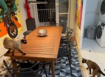 Apartamento · 45m² · 2 Quartos · 2 Vagas · Apartamento para venda em Vila Nilva de 45.00m² com 2 Quartos e 2 Garagens