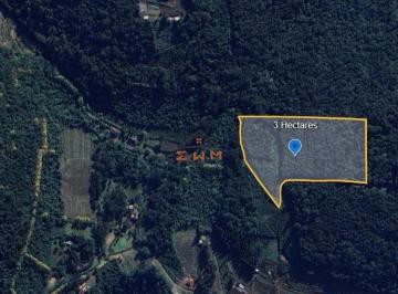Rural · Chácara em Linha São Miguel em Farroupilha/RS
