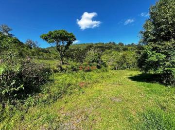 Rural · Chácara em Linha São Miguel em Farroupilha/RS