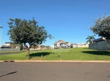 e23710816f8b559898b94084c6049bd3505021ad · Terreno à venda, 489 m² por R$ 489.000,00 - Buona Vita - São José do Rio Preto/SP