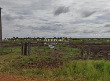 Imagem 1 · Fazenda para venda em Centro, Porto Alegre do Norte