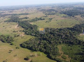 Imagem 1 · Fazenda para venda em Primavera, Ji-Paraná