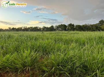 Imagem 1 · Terreno para venda em Centro, Camapuã