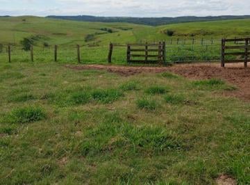 Imagem 1 · Fazenda para venda em Área Rural de Garça, Garça